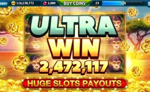 hgo88